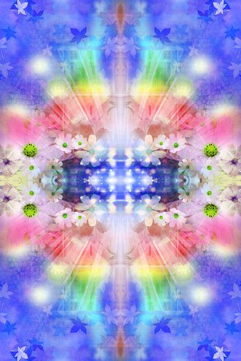 262850-201312y02梦幻花卉-3