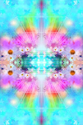 262851-201312y02梦幻花卉-3