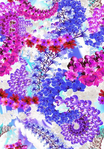 263037-热带花卉组合