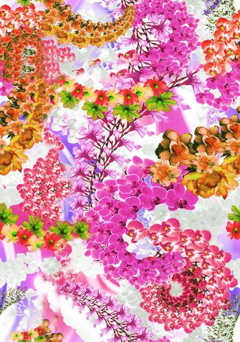 263040-热带花卉组合