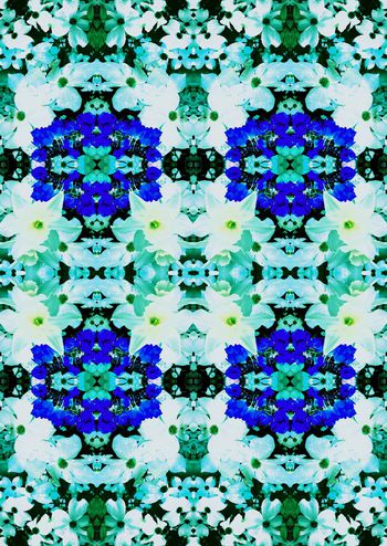 263043-对称组合花卉