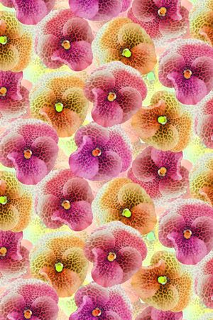 印花华亿平台图片