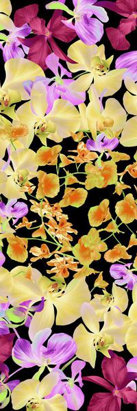 蝴蝶花印花华亿平台图片