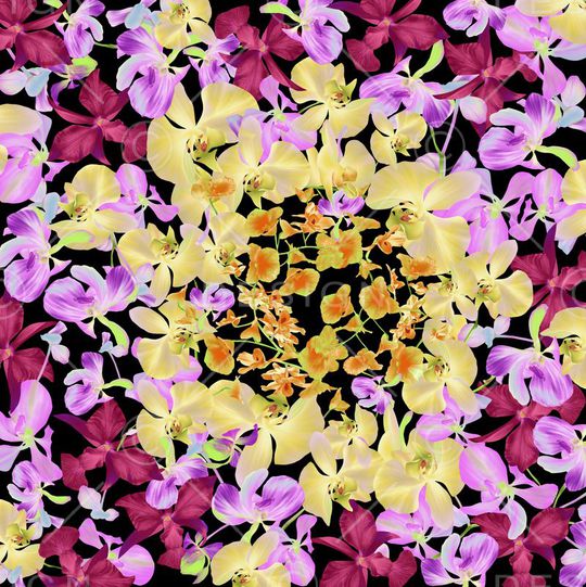 蝴蝶花印花华亿平台图片