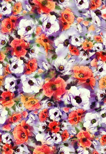 263118-多彩花卉花朵组合