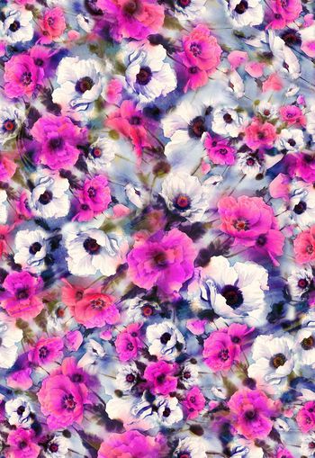 263120-多彩花卉花朵组合