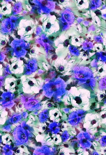 263121-多彩花卉花朵组合