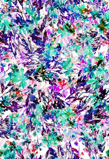 263150-多彩水彩水墨效果花卉花朵