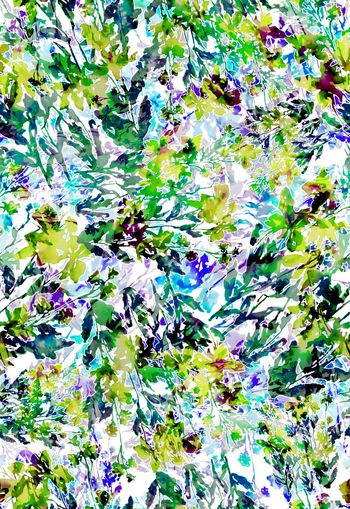 263151-多彩水彩水墨效果花卉花朵