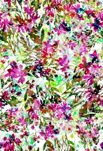 263152-多彩水彩水墨效果花卉花朵