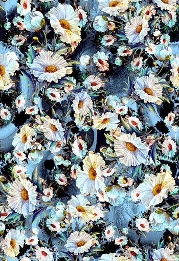 263155-多彩手绘花朵花卉组合