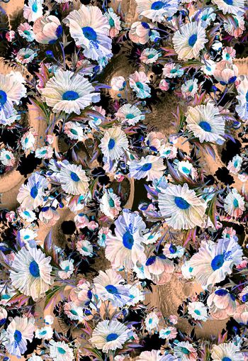 263156-多彩手绘花朵花卉组合