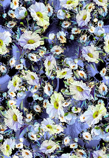 263158-多彩手绘花朵花卉组合