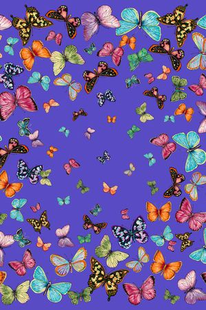 蝴蝶印花华亿平台图片