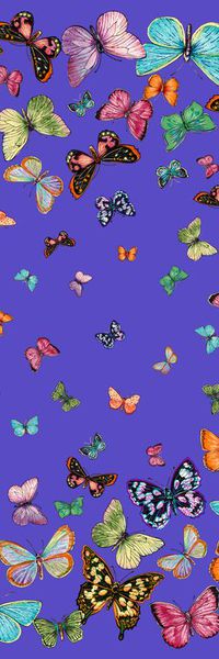 蝴蝶印花华亿平台图片