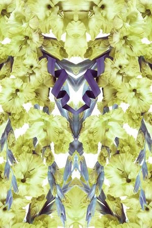 印花华亿平台图片