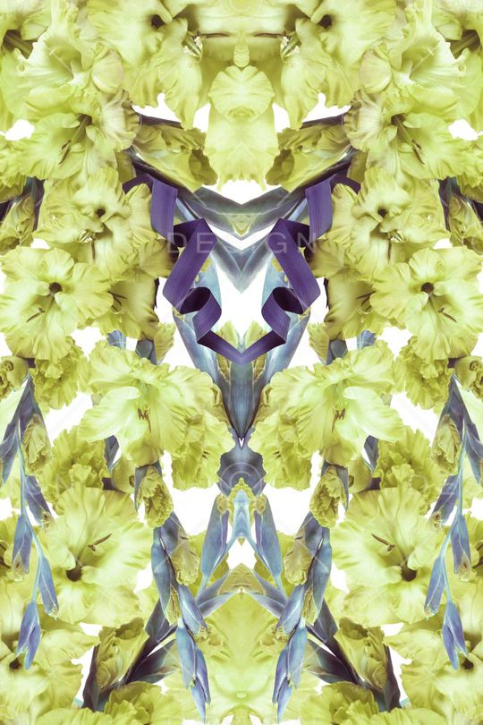 印花华亿平台图片