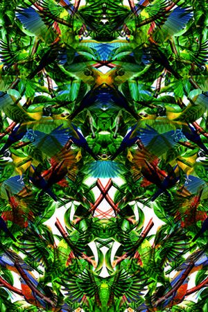 植物印花华亿平台图片