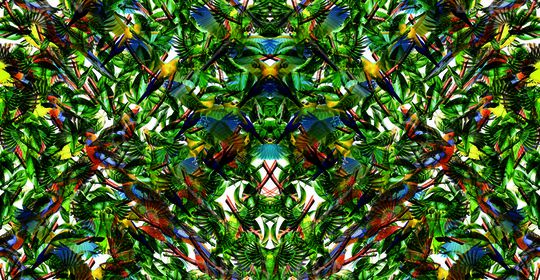 植物印花华亿平台图片