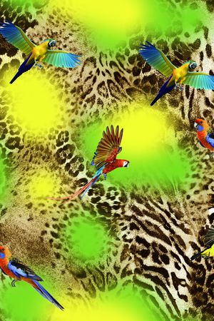 豹纹印花华亿平台图片