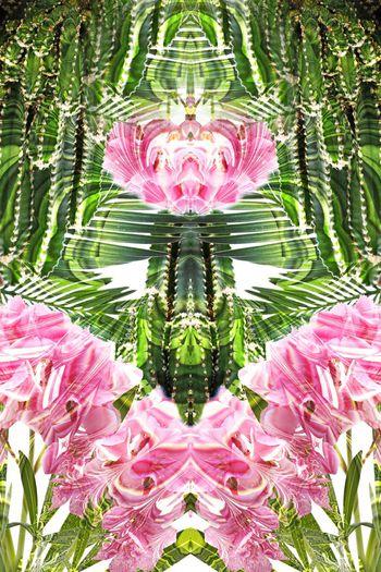 263407-前幅定位仙人掌夏日热带花卉组合印花