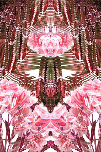 263408-前幅定位仙人掌夏日热带花卉组合印花