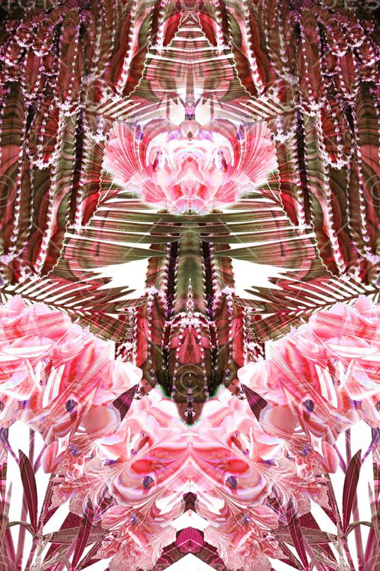 印花华亿平台图片