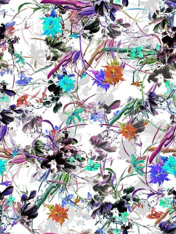 263569-国画水墨花卉花朵组合