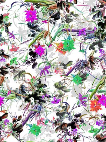 263570-国画水墨花卉花朵组合