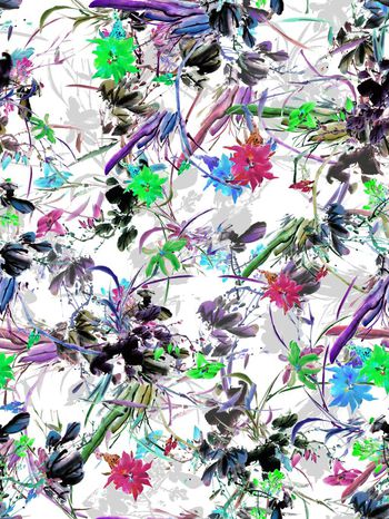 263571-国画水墨花卉花朵组合