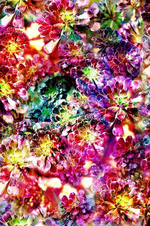 抽象印花华亿平台图片