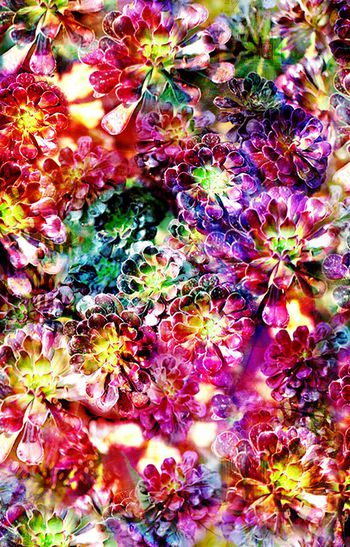 抽象印花华亿平台图片