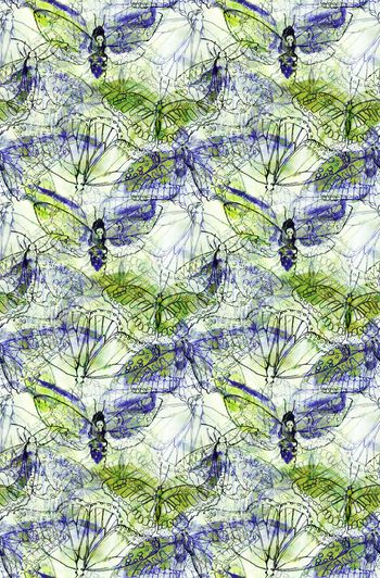 263586-WT231手绘风格水墨水彩铅笔蝴蝶