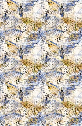 263587-手绘风格水墨水彩铅笔蝴蝶墨迹笔触印