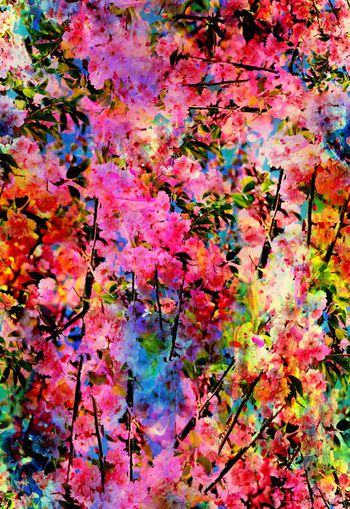 263767-多彩花卉花朵组合