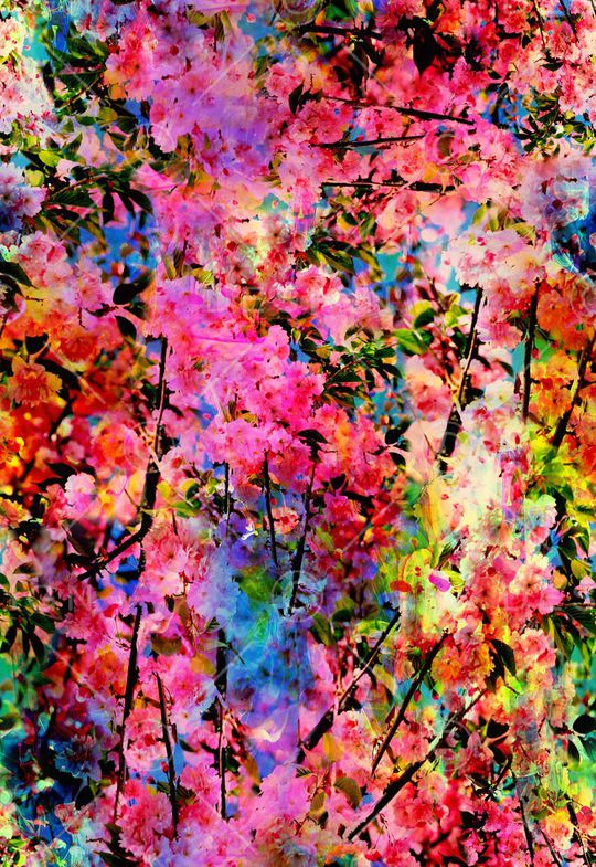 花卉印花华亿平台图片