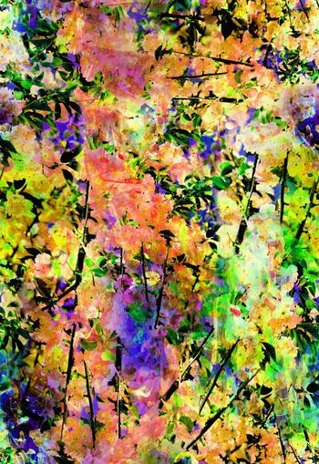 263768-多彩花卉花朵组合