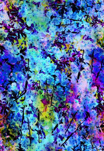 263769-多彩花卉花朵组合