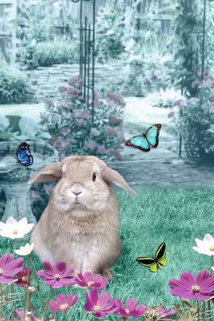 印花华亿平台图片