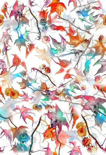 263969-多彩水彩水墨效果树叶组合