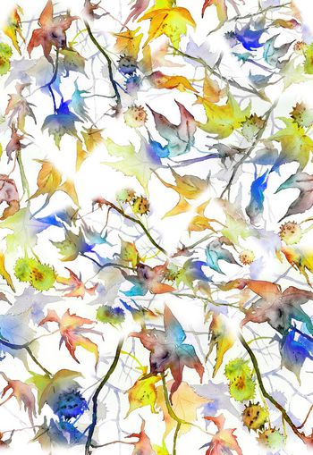 263970-多彩水彩水墨效果树叶组合