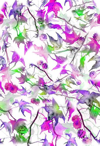 263972-多彩水彩水墨效果树叶组合