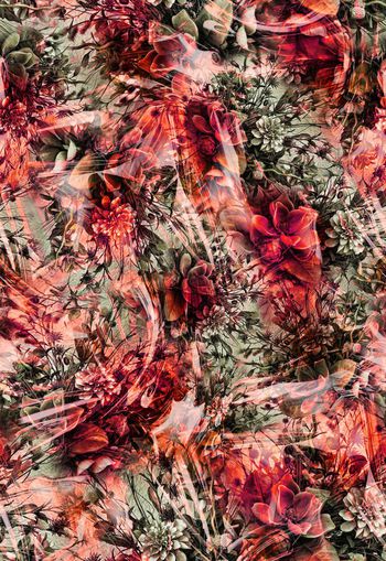 263975-多彩花卉花朵组合