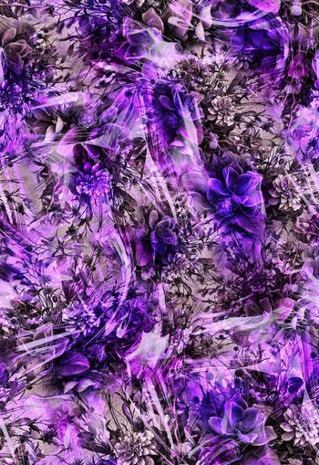 263976-多彩花卉花朵组合