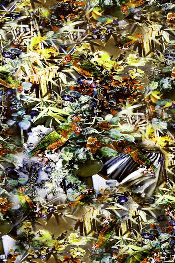 263982-抽象 油画 复古