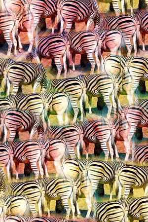 斑马纹印花华亿平台图片