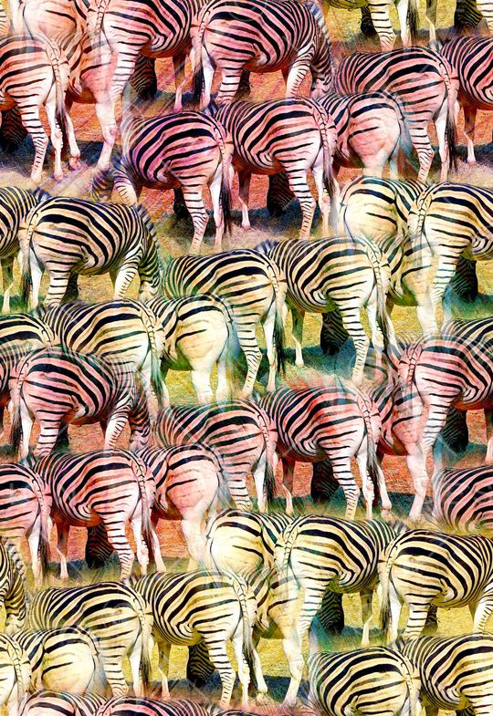 斑马纹印花华亿平台图片