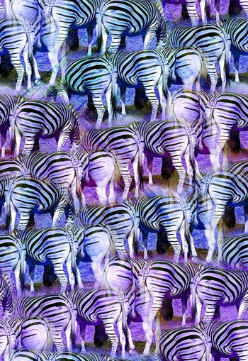 263987-动物纹斑马纹组合