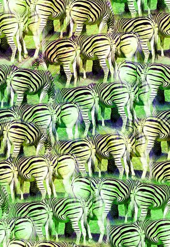 263988-动物纹斑马纹组合