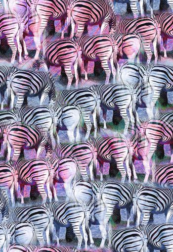 263989-动物纹斑马纹组合